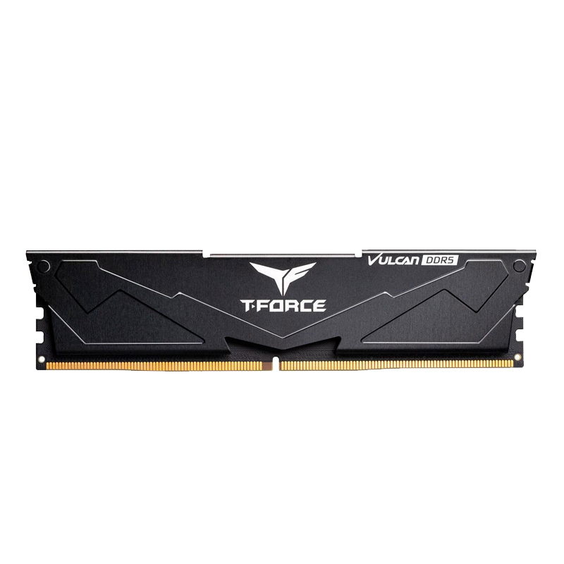 Memoria TEAMGROUP T-Force VULCAN DDR5 16GB DDR5-5200 MHz CL40 1.25V